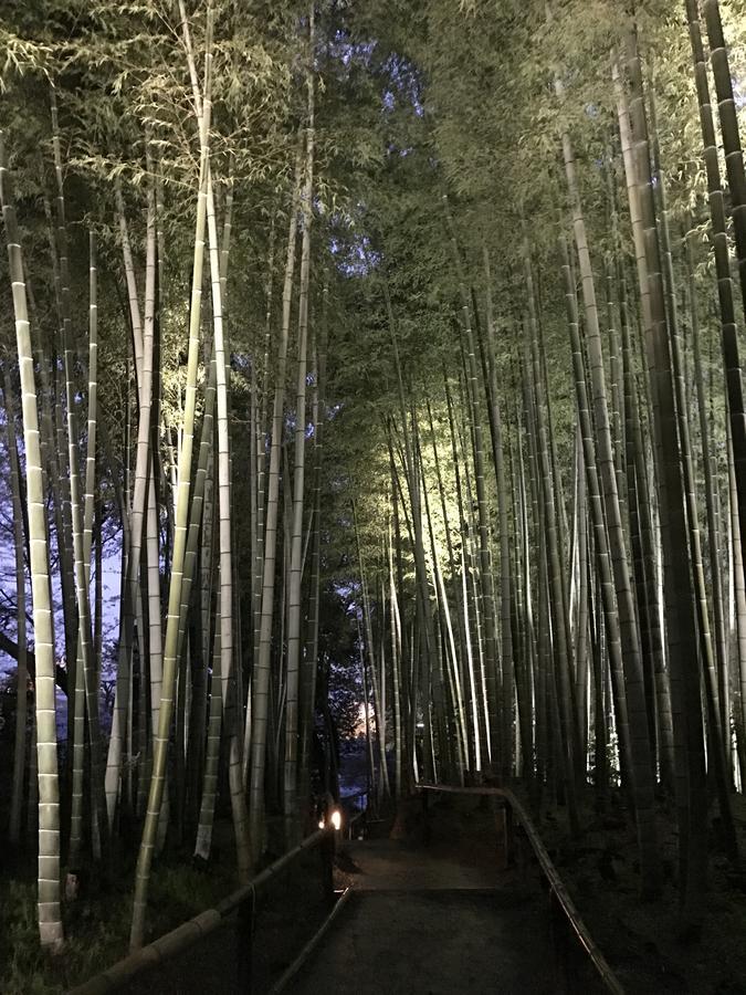Sakuraya-Inn Osaka Ngoại thất bức ảnh